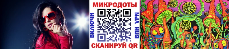 Псилоцибиновые грибы Cubensis Кудрово